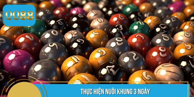 Thực hiện nuôi khung 3 ngày để tối ưu lợi nhuận
