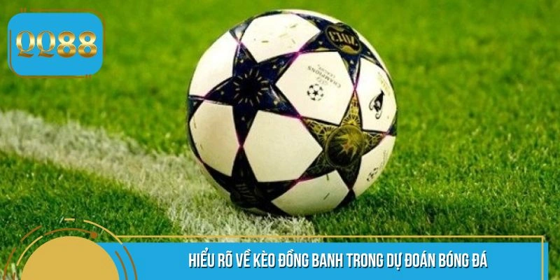 Khái quát về thể loại đồng banh phổ biến